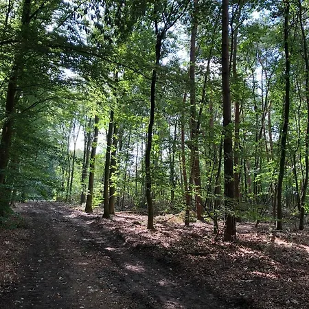 Huisjes Reewold In Rustige En Mooie Omgeving *